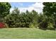 Expansive backyard featuring a lush green lawn and a privacy border of mature pine trees at 326 Still Pine Bnd, Smyrna, GA 30082
