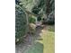 Backyard showing mature landscaping and lush greenery at 512 Rockborough Ter, Stone Mountain, GA 30083