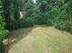 Lush backyard view, with dense green vegetation and a glimpse of sunlight, suggesting a peaceful and private outdoor space at 1235 Westboro Sw Dr, Atlanta, GA 30310