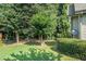 Landscaped backyard with flowering trees, green lawn, and manicured hedges at 3802 Abbott Ln # 14, Powder Springs, GA 30127