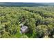 An aerial view of the home nestled among lush green trees and landscaping at 4200 E 166 Hwy, Carrollton, GA 30116