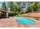 Backyard pool featuring stone-paved patio and lush green landscaping at 3559 Turtle Cove Se Ct, Marietta, GA 30067