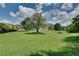 Expansive backyard featuring a large lawn and mature trees, perfect for outdoor activities at 7550 Springmill Ct, Cumming, GA 30028