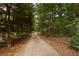 Long driveway leading to a private residence surrounded by trees at 1950 Lower Burris Rd, Canton, GA 30114