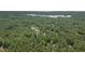 Aerial view of a home nestled among dense trees, offering a private setting with lake access at 8189 N Pine Cone N Dr, Villa Rica, GA 30180