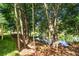 Beautiful backyard view of the lake surrounded by mature trees at 301 Retreat Way, Carrollton, GA 30116