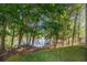 Beautiful backyard view of the lake surrounded by mature trees at 301 Retreat Way, Carrollton, GA 30116