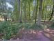 Lush backyard with mature trees, greenery, and natural landscaping, offering a private outdoor space at 2251 Stag Run Run, Suwanee, GA 30024