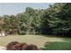 Large, well-maintained backyard with lush grass, mature trees, and border shrubs at 180 Jay Trl, Fayetteville, GA 30215