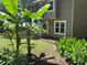 Side view of home with lush green landscaping, banana trees and garden area at 2105 Windy Oak Ct, Lithia Springs, GA 30122
