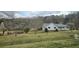 Traditional single-Gathering home with lush green yard and mature trees against a wooded backdrop at 4055 Haralson Mill Ne Rd, Conyers, GA 30012
