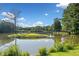 Scenic pond view with wooded island and bridge, surrounded by lush trees and a clear blue sky at 137 Hidden Lake Cir, Canton, GA 30114