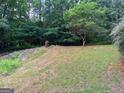 Wooded backyard with a sloped terrain at 175 Abner Dr, Mcdonough, GA 30252