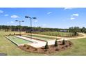 Enjoy the outdoors on this community's maintained bocce ball court with manicured landscaping and easy access at 603 Parnassus Rd, Locust Grove, GA 30248