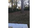 Wooded backyard with a large tree and a concrete pad at 9168 Carr Cir, Covington, GA 30014