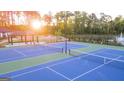 Two tennis courts with surrounding landscape at 315 Silver Moon Drive, Loganville, GA 30052