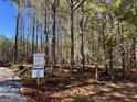 Sign for Pinegate lot 2 with surrounding woods and natural landscape at 2 Bob Smith Rd, Sharpsburg, GA 30277