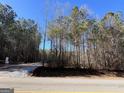 Beautiful lot surrounded by tall pine trees, offering privacy and a serene setting at 1 Bob Smith Rd, Sharpsburg, GA 30277