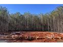 View of the home's lot, showing the early stages of construction and the expansive land at 1 Bob Smith Rd, Sharpsburg, GA 30277