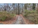 Long driveway leading through a wooded area at 6051 Reynolds Rd, Morrow, GA 30260