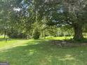 Beautiful grassy yard featuring a large tree and ample space for recreation and outdoor activities at 1597 Highway 92 S, Fayetteville, GA 30215