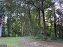 View of wooded backyard, showing tree coverage at 3746 Chapel Hill Road, Douglasville, GA 30135