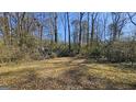Large backyard with mature trees and open grassy area at 6665 Cedar Hurst Trl, College Park, GA 30349