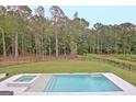 Luxury pool and spa surrounded by a grassy backyard and trees at 260 Cicely Way, Tyrone, GA 30290