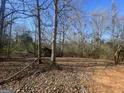 Open wooded backyard with a clearing and some undergrowth at 270 Mountain Way, Covington, GA 30016