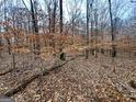 Picturesque scene of a heavily wooded lot blanketed with fallen leaves at 116 Appalachee Church Rd, Auburn, GA 30011