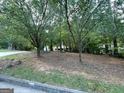 A tranquil scene showcasing the property's grassy and wooded yard at 200 Timber Ridge Dr, Mcdonough, GA 30252