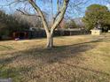 Spacious backyard featuring mature tree, shed, and a wooden fence at 376 Lakewood Dr, Social Circle, GA 30025