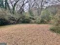 Expansive backyard with scattered leaves and mature trees; natural setting at 2037 Mesa Se Dr, Atlanta, GA 30316