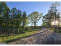 Gravel driveway leading up to a property through mature trees, showcasing the natural setting and serene environment at Lot C Montannas Way, Moreland, GA 30259