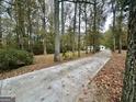 Long driveway leading to a charming home surrounded by beautiful mature trees at 1450 Victoria Ln, Oxford, GA 30054