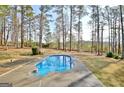 Backyard in ground swimming pool with patio area surrounded by mature trees at 185 Lady Helen Ct, Fayetteville, GA 30214