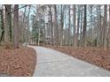 Long driveway leading to the house through a wooded lot at 200 Deer Forest Trl, Fayetteville, GA 30214