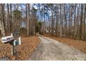Long driveway leading to a charming home surrounded by mature trees and natural beauty at 390 Marsha Way, Sharpsburg, GA 30277
