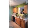Kitchen featuring wood cabinets, a stainless steel double sink, and bright green walls at 11714 Double Lake Xing, Fayetteville, GA 30215
