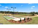 Bocce ball court with manicured landscaping in a meticulously planned neighborhood at 745 Myrica Ave, Locust Grove, GA 30248