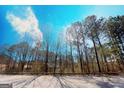 View of the property featuring the mature trees and quiet privacy at 2220 Camp Mitchell Rd, Grayson, GA 30017