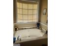 A relaxing soaking tub with a window view and stylish decor at 65 Coldwater Way, Covington, GA 30016
