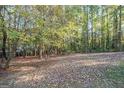 Spacious backyard with mature trees, providing privacy and natural beauty at 250 Devilla Trce, Fayetteville, GA 30214