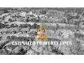 Aerial view of neighborhood with estimated property lines at 1585 Lake Dow Rd, Mcdonough, GA 30252
