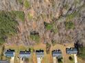 Neighborhood aerial view showing lush green trees and house roof lines at 195 Brighton Dr, Covington, GA 30016