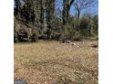 View of the backyard with grass and trees, along with some personal items at 2256 Perkerson Mill Rd, Austell, GA 30106