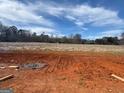 Large property lot with open field, showcasing potential for landscaping and outdoor activities at 454 Snead Road # 3, Fayetteville, GA 30215