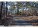 View of a long, paved driveway through a forest of mature trees at 9209 W Banks Mill Rd, Winston, GA 30187