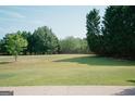 Spacious lawn surrounded by mature trees and greenery, offering privacy at 424 Norman Ct, Hampton, GA 30228