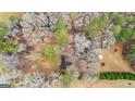 Aerial view of house surrounded by trees and a large backyard at 1119 Highway 54 East, Fayetteville, GA 30214